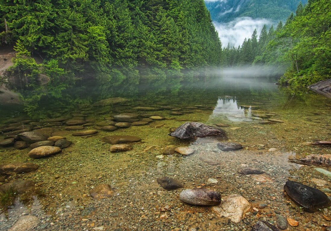 Prayer of Serenity